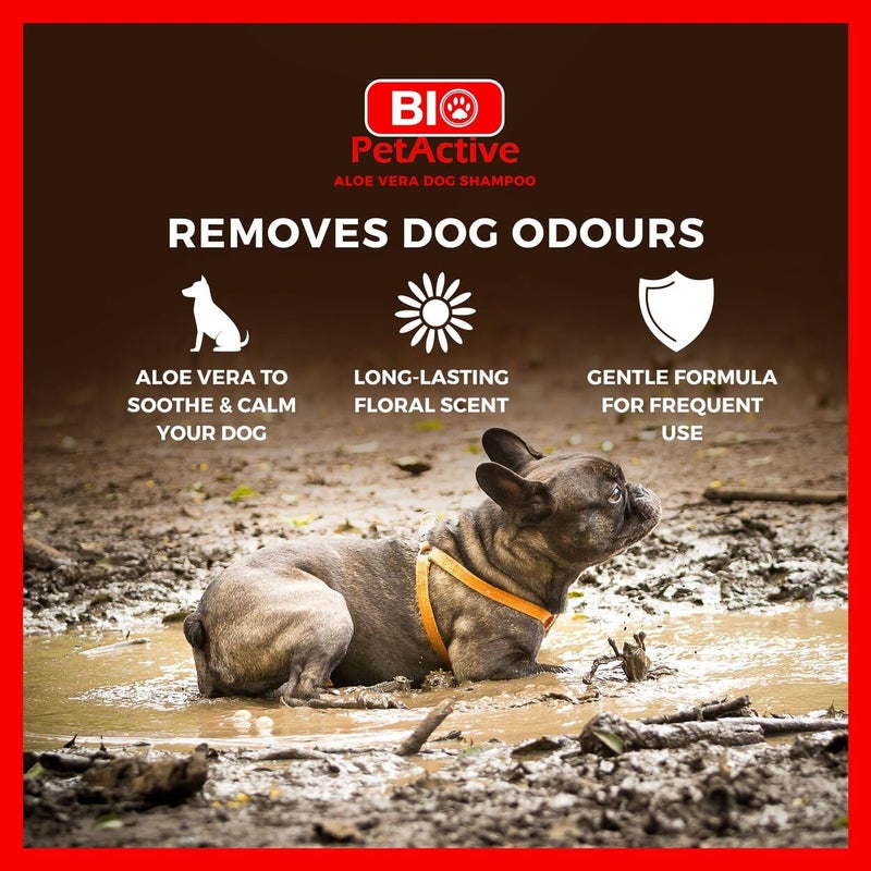 Bio PetActive شامبو بيولوجي للحيوانات الأليفة للكلاب مع مستخلص الألوة فيرا - عناية تنظيف وترطيب للبشرة الحساسة والعادية، خالي من البارابين، متوازن الحموضة + مكونات طبيعية - 13.53 أونصة سائلة - Image 4